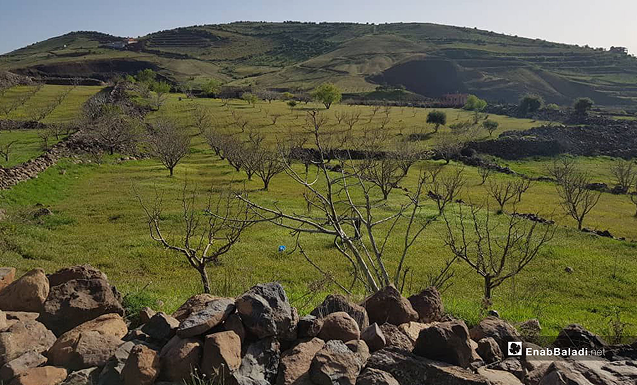 عن صندوق السويداء للتنمية