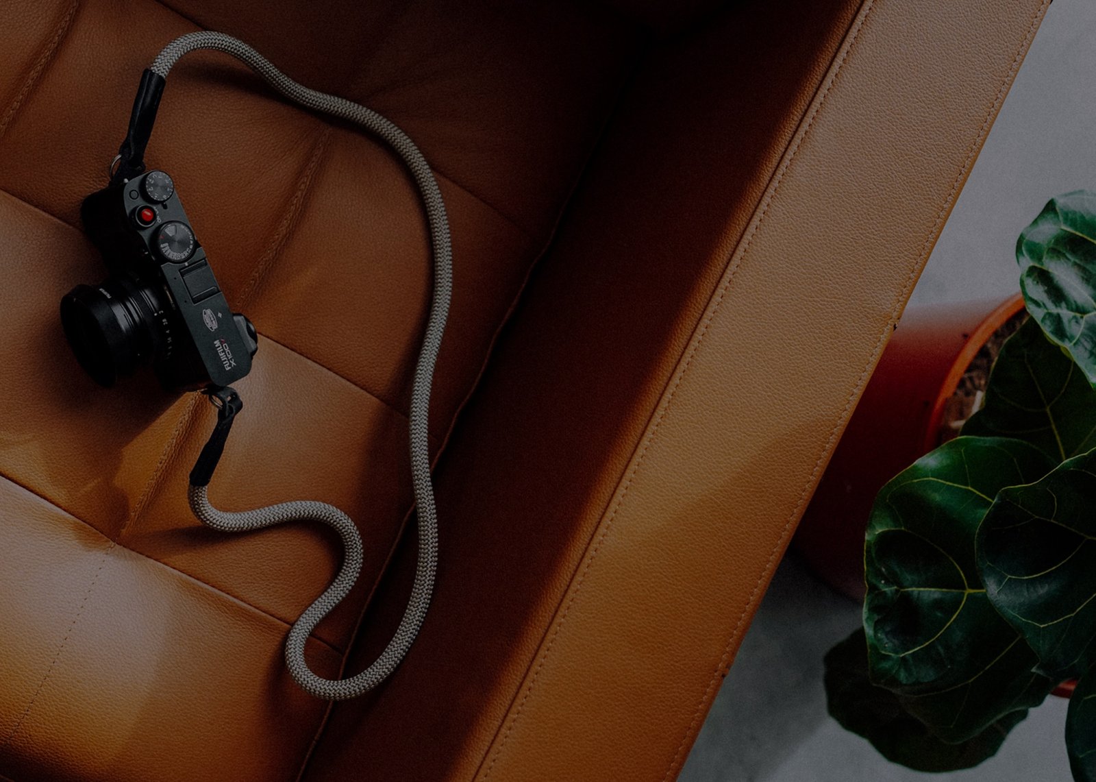 Exclusive subscriber updates